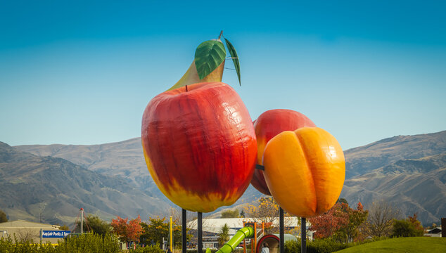The iconic giant fruit in Crowell, New Zealand, autumn 2023.