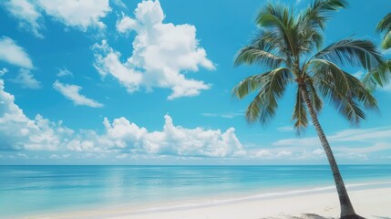 beautiful view on tropical beach