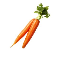 Clear Juicy Carrot Clipart
