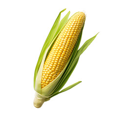 Corn with Husk and Transparent Background Clipart