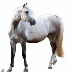 horse isolated on white background, standing farm animal, brown horse. made with generative AI technology
