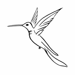 Fototapeta premium hummingbird in flight