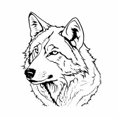 wolf head vector