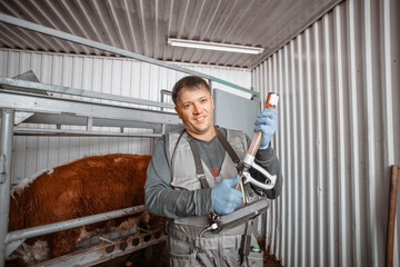 veterinary professional is ready to vaccinate cattle, a proactive measure to protect and sustain...