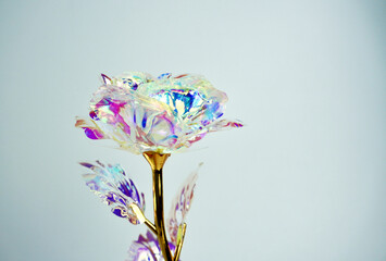 Obraz premium Multicolored beautiful purple, blue, glass like clear material rose petal flower shaped decoration. Object photography isolated on horizontal background.
