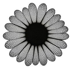 PNG Pattern flower daisy asteraceae.