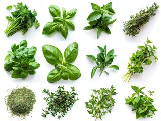 Herbs Fresh and dried herbs like basil, parsley, and thyme, arranged to show their aromatic qualities and uses in cooking, isolated on white blackground.