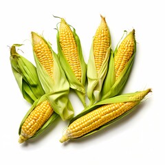 Flint corn vegetable white background, Ai Generated
