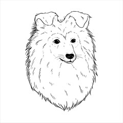 hand drawing long haired german shepherd dog illustration