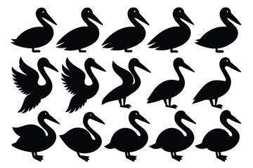Set of pelican black Silhouette Design with white Background and Vector Illustration