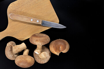 Fresh shiitake mushrooms displayed against a black backdrop