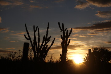 Fim de tarde no Sertão