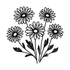 daisy flower lineart vector illustration. Flower silhoutte