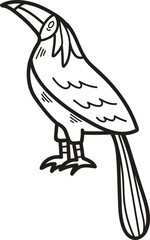 A black and white drawing of a bird with a large beak and a colorful tail