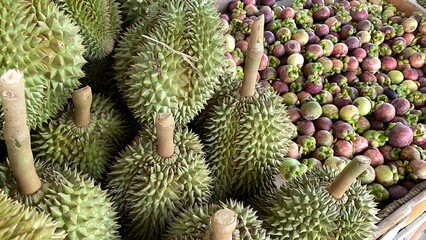 tropical durian and mangosteen fresh from the garden in thailand