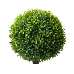 Artificial Boxwood Ball. Looks so real, without the hassle of watering and pruning.