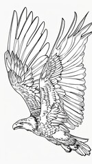 A drawing of a bald eagle soaring through the sky