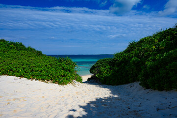 緑のトンネルを抜けた先の砂山ビーチ｜宮古島の白い砂浜と宮古ブルーの絶景02/Path through green vegetation leading to Sunayama Beach with white sand and turquoise sea in Miyakojima, Okinawa Japan02 © Assa_Reef