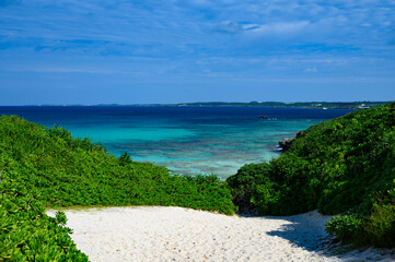 緑のトンネルを抜けた先の砂山ビーチ｜宮古島の白い砂浜と宮古ブルーの絶景01/Path through green vegetation leading to Sunayama Beach with white sand and turquoise sea in Miyakojima, Okinawa Japan01 © Assa_Reef