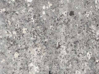 Gray concrete texture. Gray texture background and blank