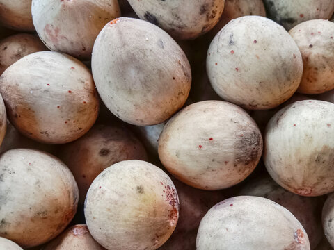 Pile of langsat fruit. Langsat fruit in a basket. Langsat, lanzones or longkong (Lansium parasiticum). 