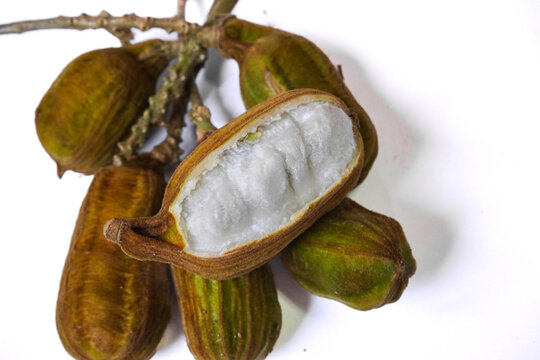Ice cream beans. or known as snow fruit. Balinese people calld buah salju. isolated white background