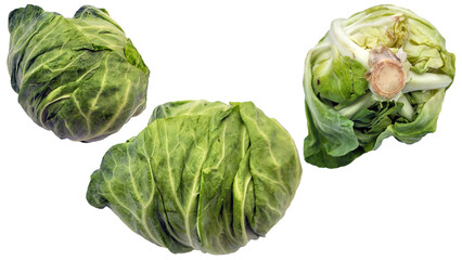 Obraz premium キャベツの切り抜き素材／cabbage cutout material／양배추 자르기 소재