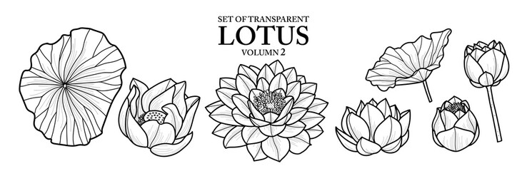Set of isolated flower illustration in hand drawn style. Lotus in Black outline and white plane on transparent background. Floral elements for coloring book, packaging or fragrance design. Volume 2.