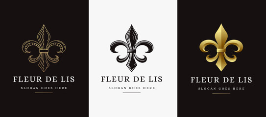 Set of Elegant fleur de lis logo icon vector © DOMHOUZE