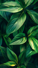 An exquisite green background captures the intricate details of plant leaves in a close-up view. This abstract natural texture is perfect for various design purposes, such as banners, posters, or wall