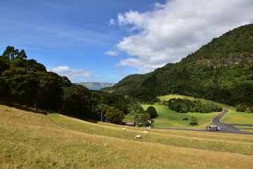 Lookout to the landscape of Huia Dam