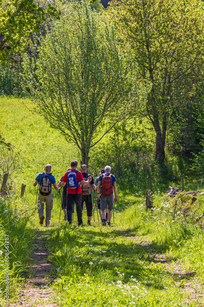 Poster Hiking group on a footpath on a sunny summer day