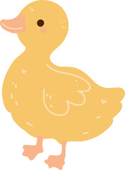 cute duck