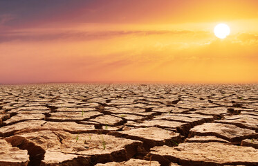 Cracked soil, drought, concept of drought and global warming.