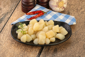 Raw scallop seafood in the bowl