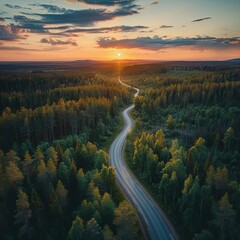 Aerial over a winding forest road in Finland, during sunset  , drone shot