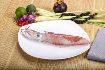Raw fresh squid for cooking