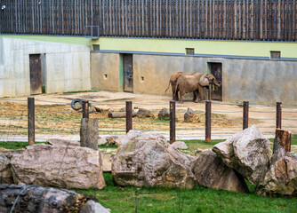 African elephants stand in enclosure at entrance to building.