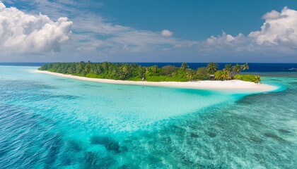 Island Bliss: Aerial Vista of Maldivian Palm Tree Haven