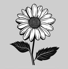 daisy flower black and white design with leaf and stem