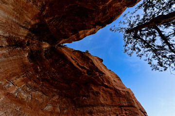 Abstract Image of Cave Opening, Sky and Tree