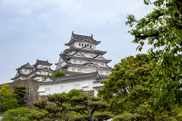 La bellezza del Giappone