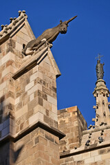 Barcellona, La cattedrale di Barcellona, totti, contrafforti e decorazioni gptiche - Catalogna, Spagna	