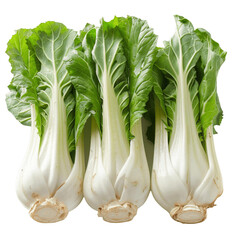 A photo of three bok choy on a green background.