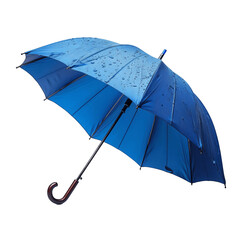 Blue umbrella protects you from the rain