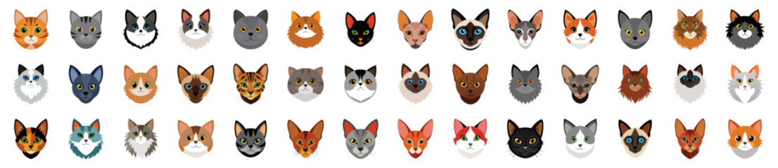 Collection of Cat Breeds Heads Icons, vector cartoon illustration. Diverse cats siamese, persian, maine coon, abyssinian, ragdoll, bengal, sphynx, russian blue, munchkin, domestic shorthair, pixiebob