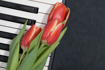 Keyboard with one 3 red tulips in the foreground. Piano keyboard