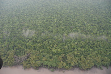 dull and cloudy ariel river view of the jungle rain forest canopy in Toledo District, Southern Belize, Central America with tree tops in lush green taken from a light aircraft