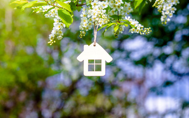 The symbol of the house among the branches of the Bird cherry
