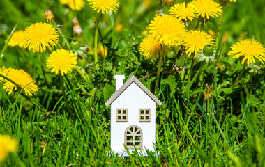 The symbol of the house stands among the yellow dandelions

